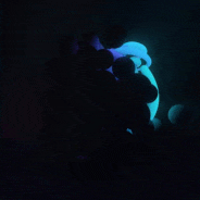 Avatar of Lilly_Putaner